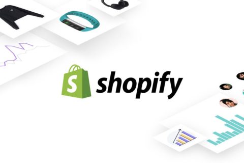 Best Shopify web development service company