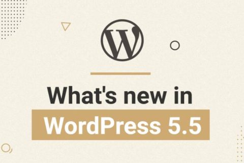 What’s New in WordPress 5.5
