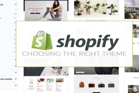 How Should You Choose a Shopify Theme for Your Online Store?
